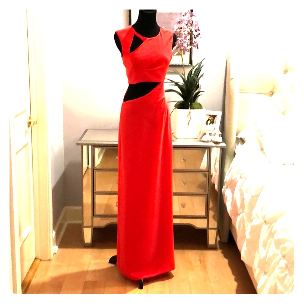 Coral long gown.  Stunningly sexy